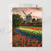 Tulip Festival Postkarte (Vorne/Hinten)