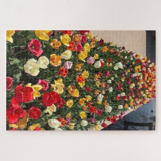 Tulip Fieber Puzzle (Horizontal)