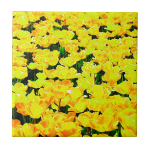 Tulip field - goldgelb fliese