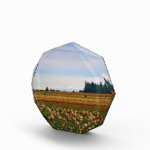 Tulip Field mit Mt. Hood, Oregon Fotoblock (Rechts)