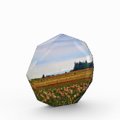 Tulip Field mit Mt. Hood, Oregon Fotoblock (Links)