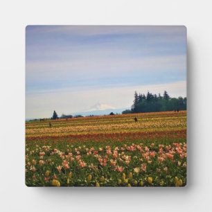 Tulip Field mit Mt. Hood, Oregon Fotoplatte