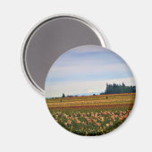 Tulip Field mit Mt. Hood, Oregon Magnet (Vorderseite/Rückseite)
