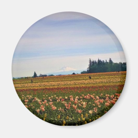 Tulip Field mit Mt. Hood, Oregon Magnet (Vorne)