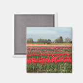 Tulip Field mit Traktor und Stall Magnet (Vorderseite/Rückseite)