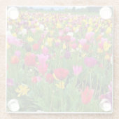 Tulip Field, Oregon Glasuntersetzer (Rückseite)