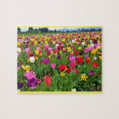 Tulip Field, Oregon Puzzle (Horizontal)