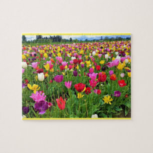 Tulip Field, Oregon Puzzle