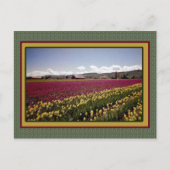 Tulip Field Postcard Postkarte (Vorderseite)