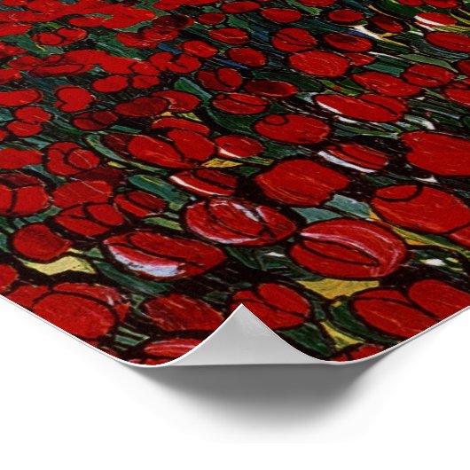Tulip Field Poster (Ecke)