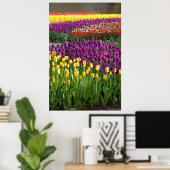 Tulip Field Poster (Heimbüro)