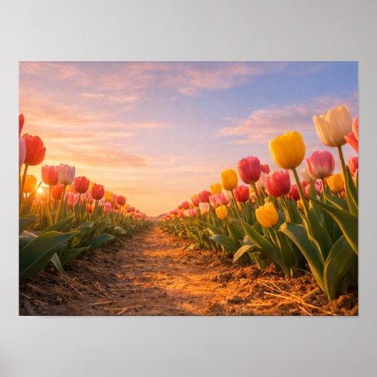 Tulip Field Sunset Holland Landscape Poster (Vorne)