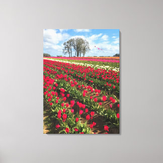 Tulip Field with Kite, Oregon Leinwanddruck