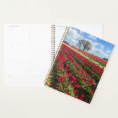 Tulip Field with Kite, Oregon Planer (Anzeige)