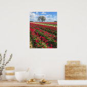 Tulip Field with Kite, Oregon Poster (Küche)