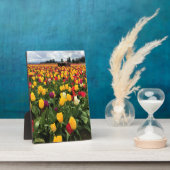 Tulip Field with Old Traktor, Oregon Fotoplatte (Seite)