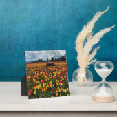 Tulip Field with Old Traktor, Oregon Fotoplatte (InSitu)