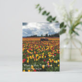 Tulip Field with Old Traktor, Oregon Postcard Postkarte (Stehend Vorderseite)
