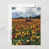 Tulip Field with Old Traktor, Oregon Postcard Postkarte (Vorne/Hinten)