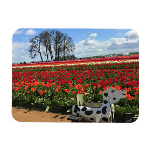 Tulip Field with Toy Cow, Oregon Magnet