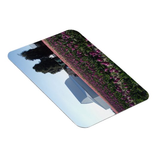 Tulip Fields Akrylic Print Magnet (Rechte Seite)