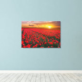 Tulip Fields bei Sunset in den Niederlanden Leinwanddruck (Insitu (Holzboden))