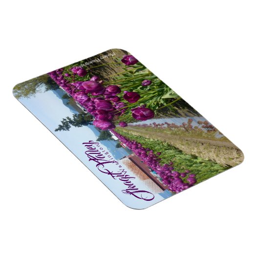Tulip Fields (Lila) & Barn (Skagit Valley) Magnet (Rechte Seite)