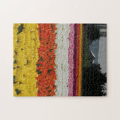 Tulip Fields Puzzle, 11" x 14", 252 pieces Puzzle (Horizontal)