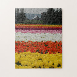 Tulip Fields Puzzle, 11" x 14", 252 pieces Puzzle