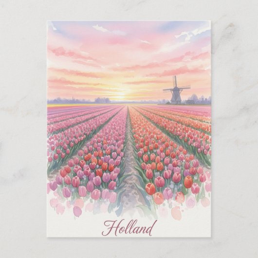 Tulip Fields Windmill Niederlande Postkarte (Vorderseite)