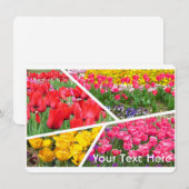 Tulip [Flat Card] (Vorne/Hinten)