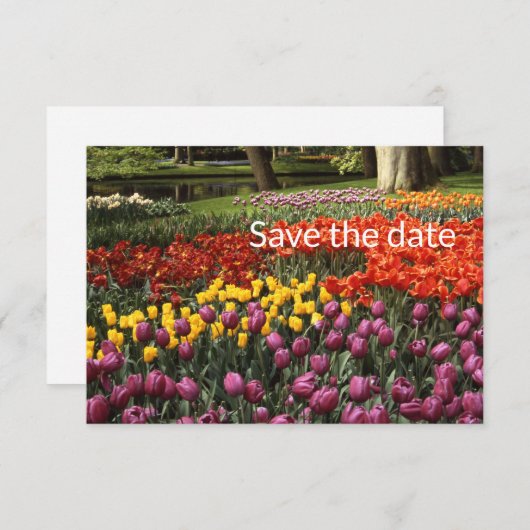 Tulip Flat Save the Date Card (Vorne/Hinten)