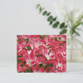 Tulip Fotos Postkarte (Stehend Vorderseite)