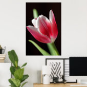 Tulip Friedlich Poster (Heimbüro)