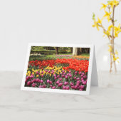 Tulip Galore Faltleere Grußkarte Karte (Gelbe Blume)