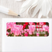 TULIP GARDEN (Insitu)