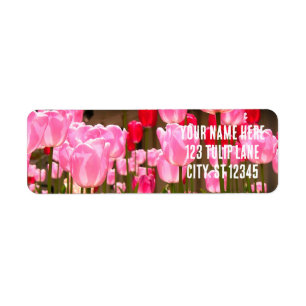 TULIP GARDEN