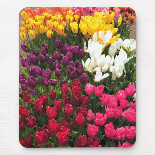 Tulip Garden Bed. Oregon Mousepad (Vorne)