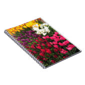 Tulip Garden Bed. Oregon Notizblock (Rechte Seite)