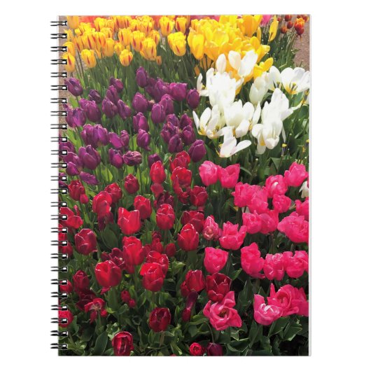 Tulip Garden Bed. Oregon Notizblock (Vorderseite)