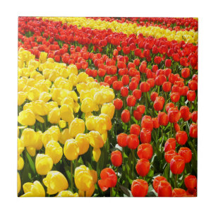 Tulip Garden Fliese