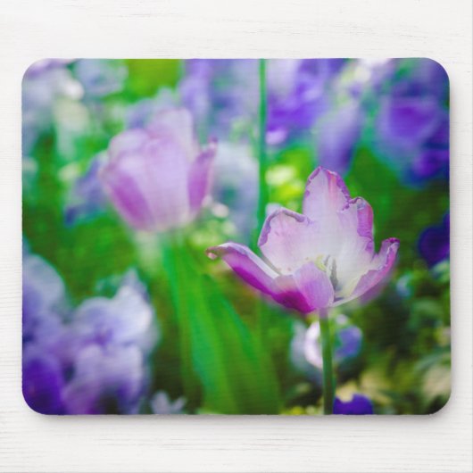 Tulip garden, Giverny, Frankreich Mousepad (Vorne)