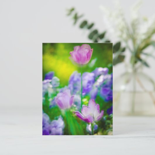 Tulip garden, Giverny, Frankreich Postkarte (Stehend Vorderseite)
