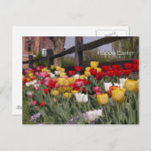 Tulip Garden Happy Oaster Feiertagspostkarte (Vorne/Hinten)