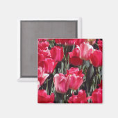 Tulip Garden Magnet (Vorderseite/Rückseite)