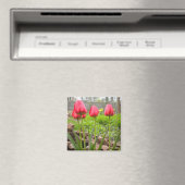 Tulip Garden Magnet (In Situ (Geschirrspüler))