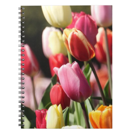 Tulip Garden Notizblock (Vorderseite)