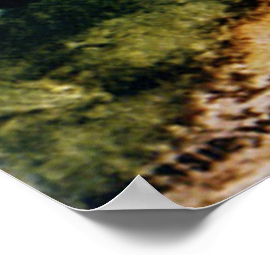 Tulip Garden Poster (Ecke)