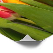 Tulip Garden Poster (Ecke)