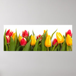 Tulip Garden Poster
